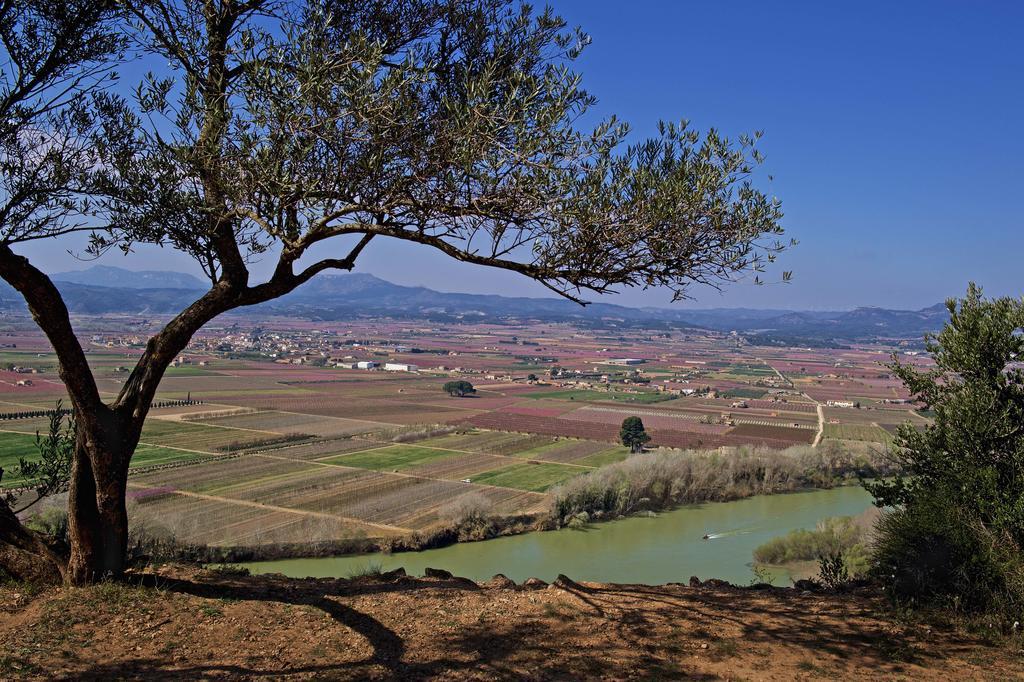 Apartment Ca La Maria Mora d'Ebre